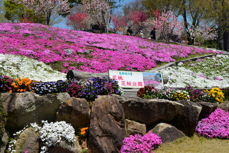 恵那峡の里2017年4月28撮影