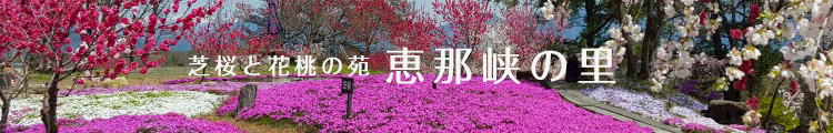 芝桜と花桃の苑　恵那峡の里