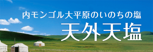 おいしい無添加塩　内モンゴルの塩　天外天塩