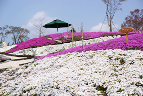 恵那峡の里　2011年