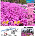 恵那峡の里芝桜祭ちらし