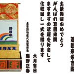 蒼国来　化粧まわし