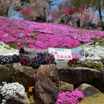 恵那峡の里2017年4月28撮影