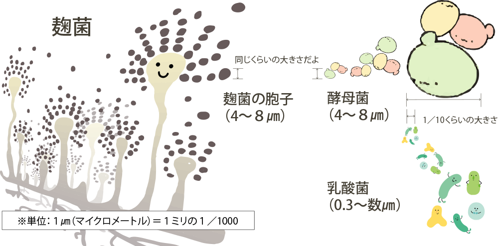 発行に係る微生物の大きさ比較